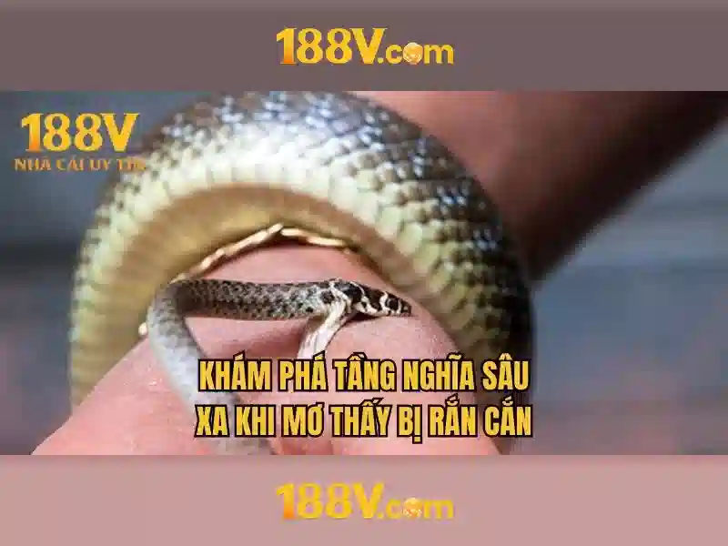 Việt Vị Trong Bóng Đá