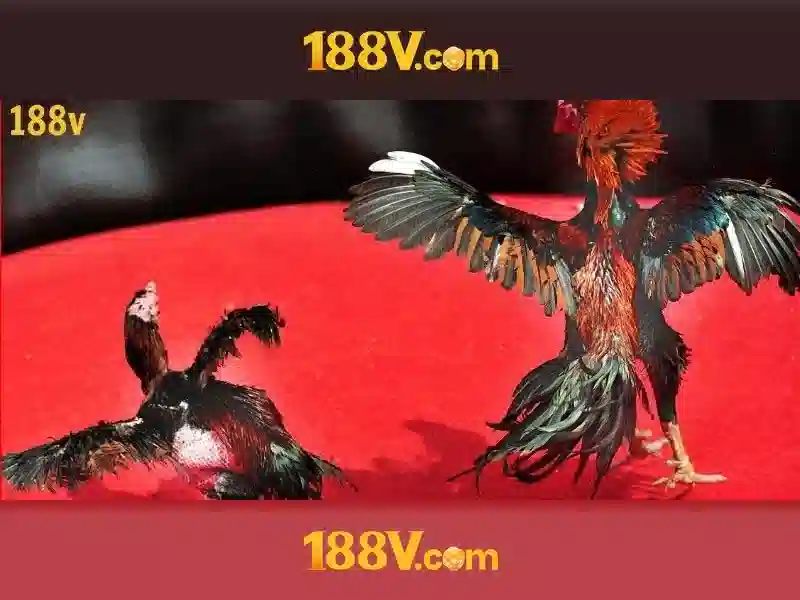 Tương lai của 188V trong điện tử Tương lai của 188V trong điện tử