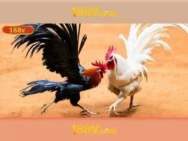 Khái niệm về 188v Khái niệm về 188v