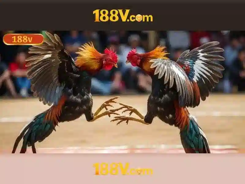 Bull Bull trực tuyến