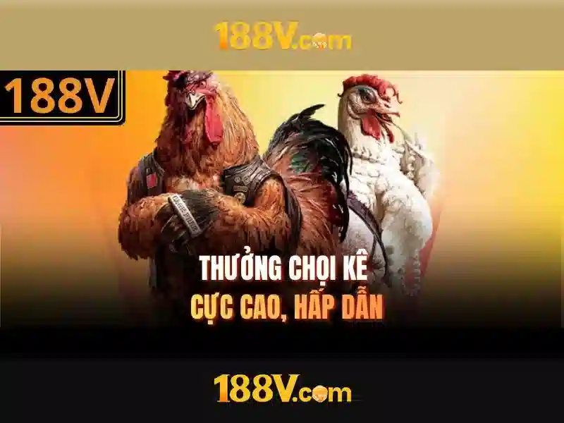 Thiết kế và vật liệu Thiết kế và vật liệu