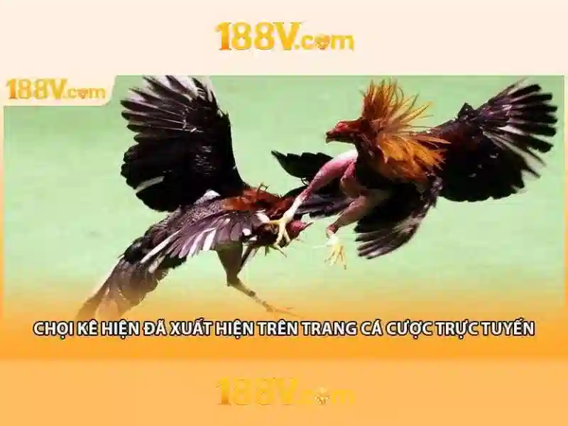 Nguon goc va y nghia