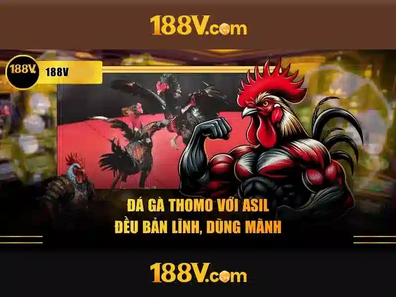 Việt Vị Trong Bóng Đá