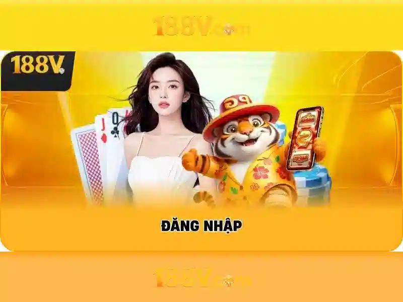 Kết luận và hướng dẫn thêm
