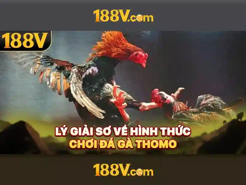 Việt Vị Trong Bóng Đá
