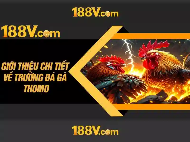 Con số như một bản đồ Con số như một bản đồ