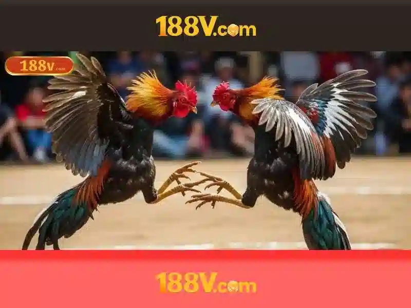 188v và sự hình thành 188v và sự hình thành