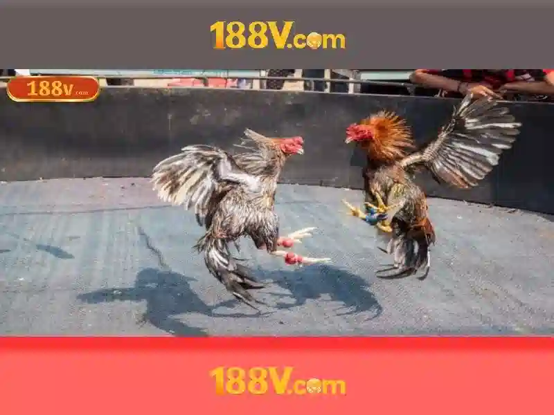 An toàn khi làm việc với 188V An toàn khi làm việc với 188V