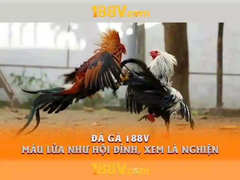 Nguồn gốc và ý niệm Nguồn gốc và ý niệm