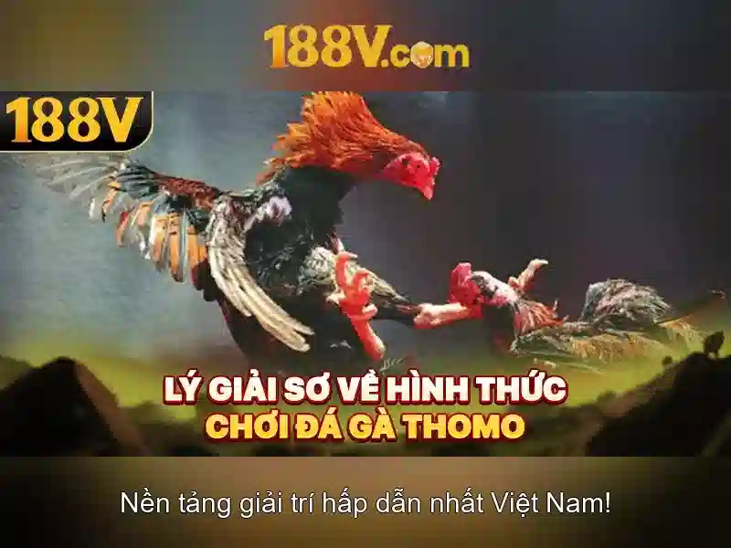 Khái niệm và ba trụ cột của 188v Khái niệm và ba trụ cột của 188v