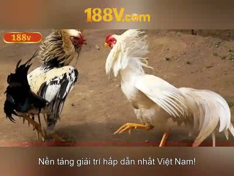 Việt Vị Trong Bóng Đá