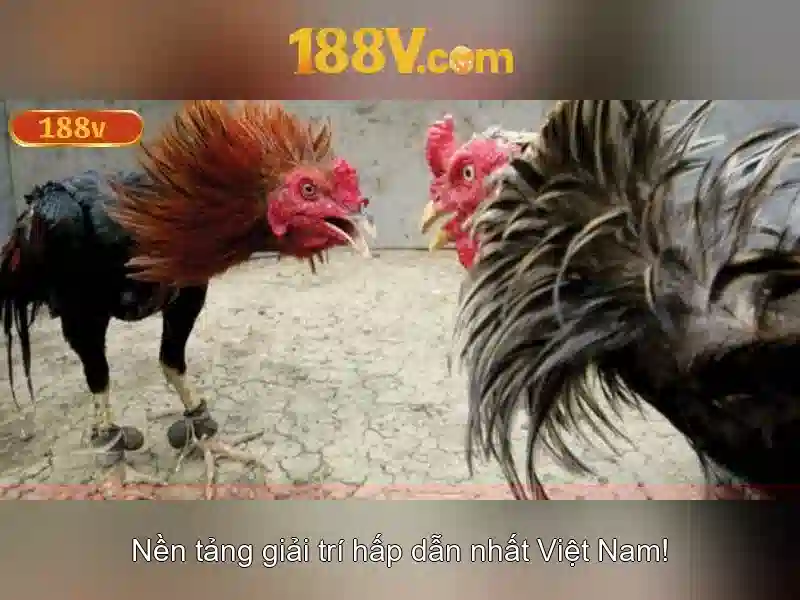 Việt Vị Trong Bóng Đá