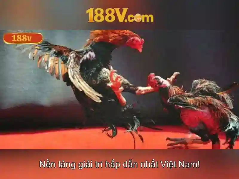 Việt Vị Trong Bóng Đá