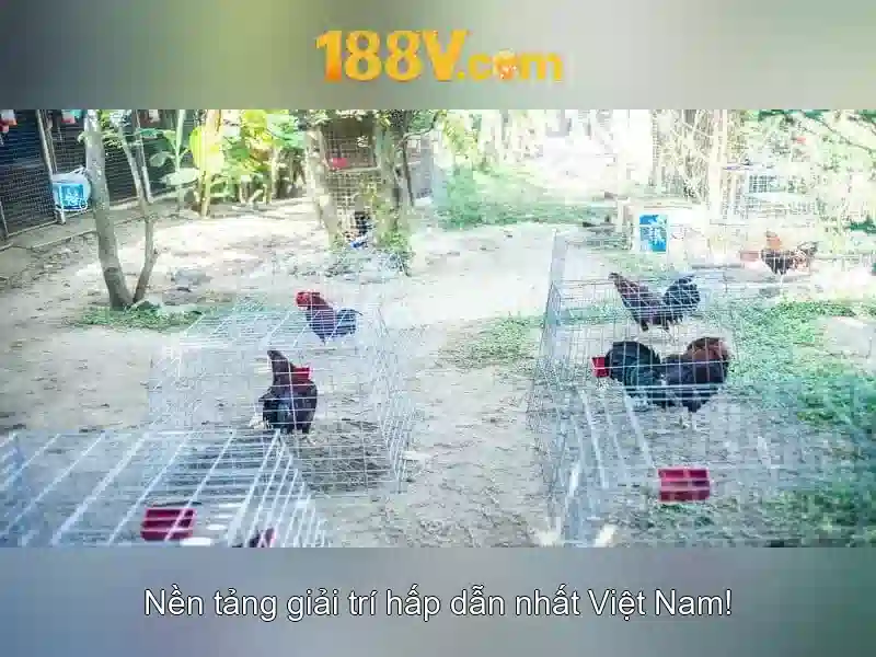 188v và hành trình khám phá