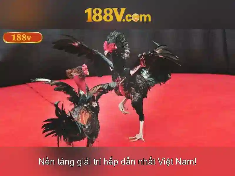 Tương lai của nguồn năng lượng 188v Tương lai của nguồn năng lượng 188v