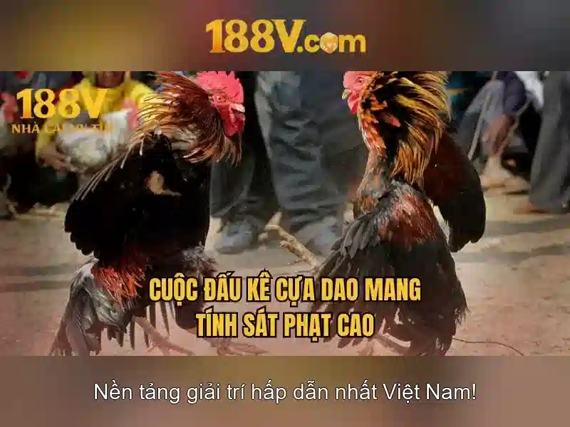 Khởi đầu của 188v