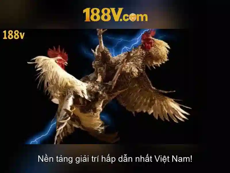 Việt Vị Trong Bóng Đá