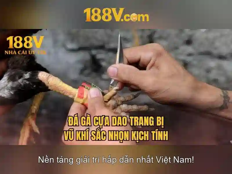 Ảnh hưởng của 188v trong thiết kế