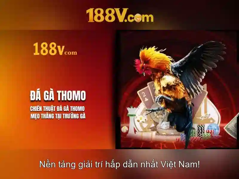 Nguồn gốc và ý nghĩa Nguồn gốc và ý nghĩa