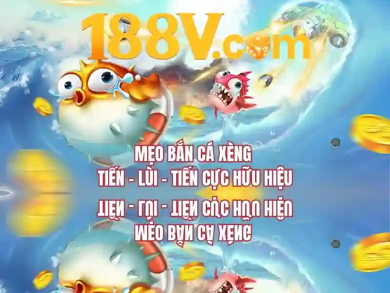 Nguồn gốc và ý nghĩa cơ bản