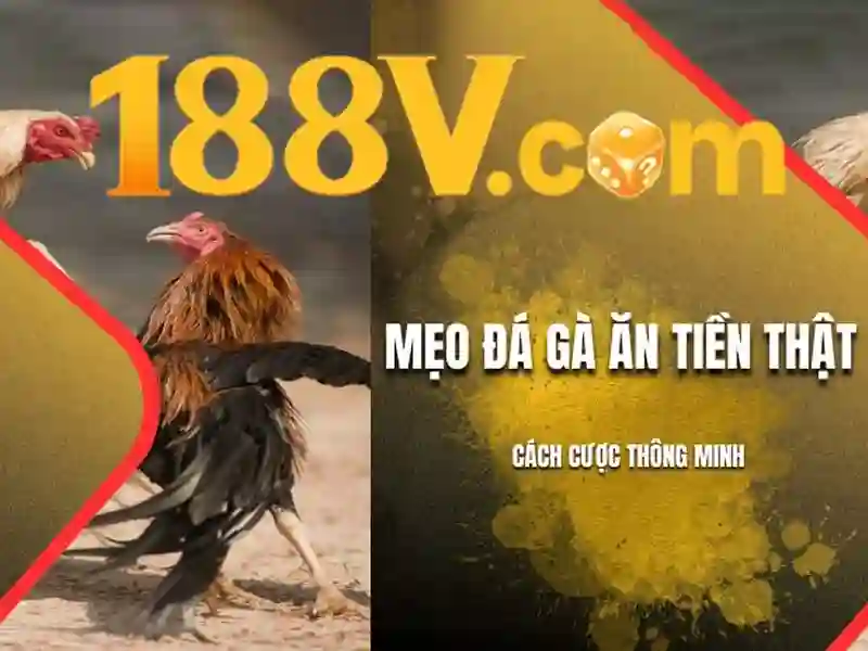 Đặc điểm kỹ thuật và kiến trúc
